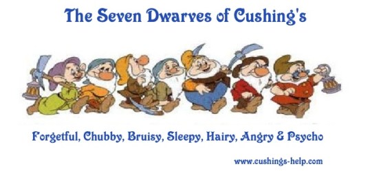 Seven Dwarves of Cushing's