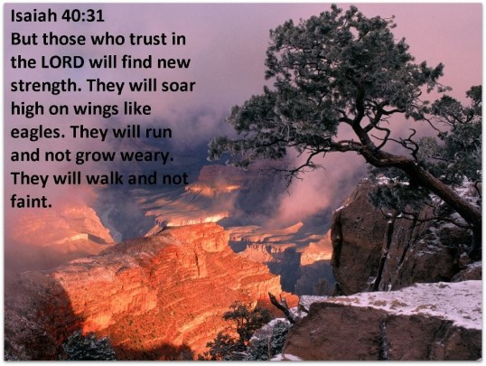 Isaiah 40:31